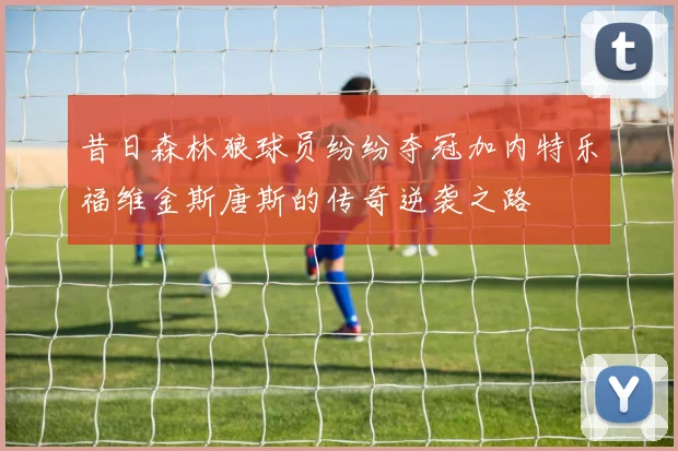 昔日森林狼球员纷纷夺冠加内特乐福维金斯唐斯的传奇逆袭之路