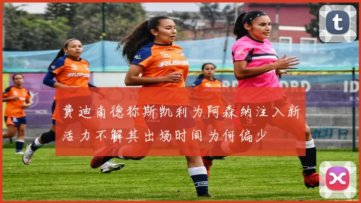 费迪南德称斯凯利为阿森纳注入新活力不解其出场时间为何偏少